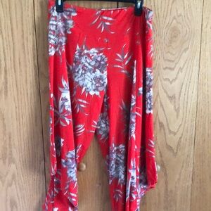 G.I.L.I. Floral Red Women's Pants